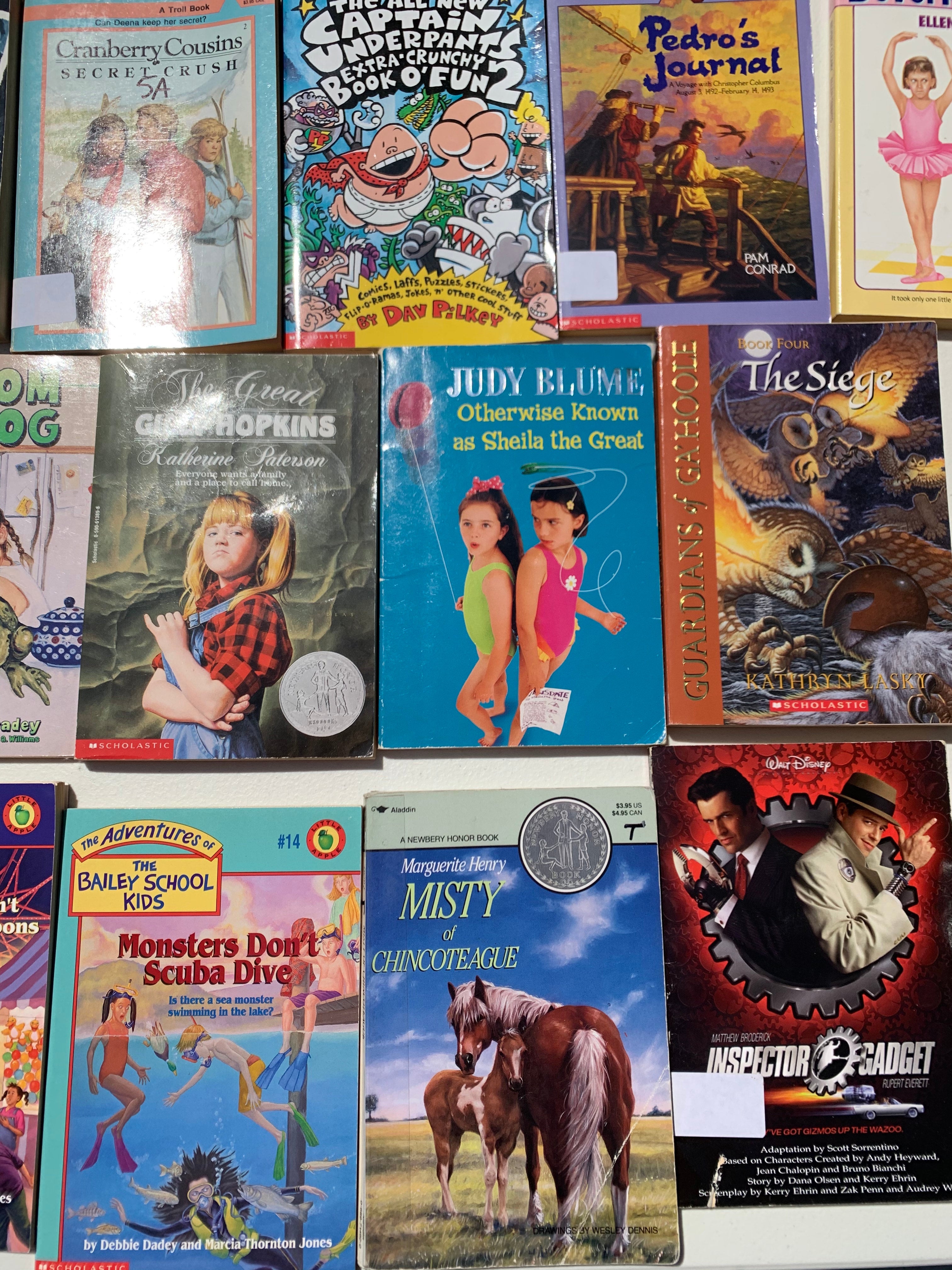 Children's Thick Chapter Books | JLC Book Sale